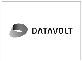 DataVolt